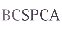 BCSPCA