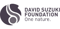 David Suzuki Foundation